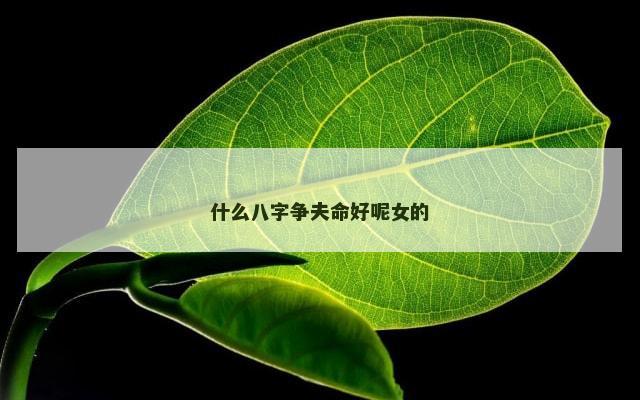 什么八字争夫命好呢女的