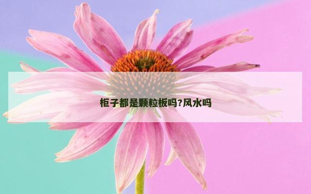 柜子都是颗粒板吗?风水吗