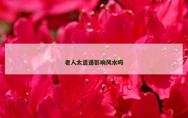 老人太邋遢影响风水吗