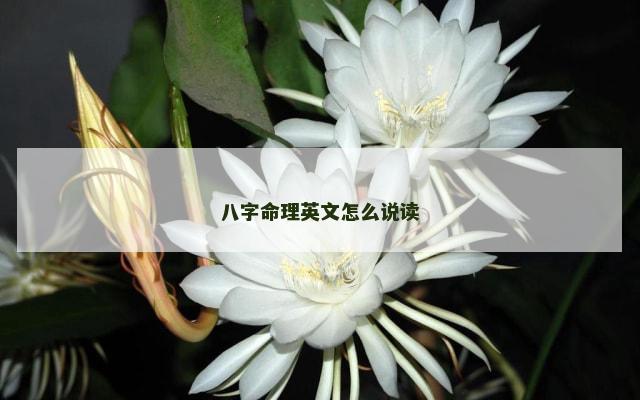 八字命理英文怎么说读
