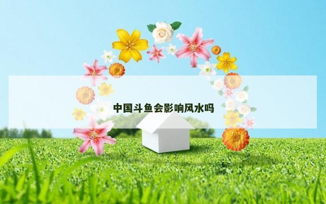 中国斗鱼会影响风水吗