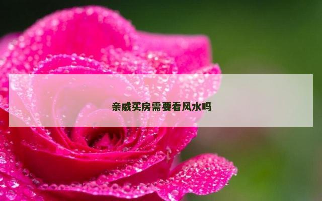 亲戚买房需要看风水吗