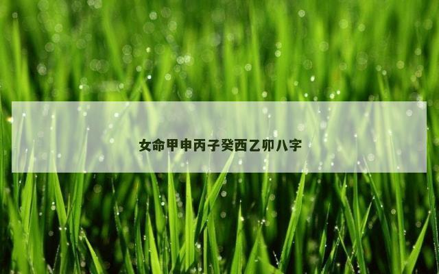 女命甲申丙子癸西乙卯八字