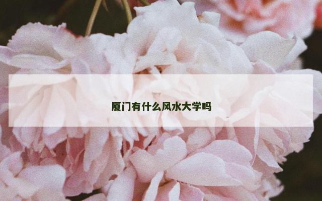 厦门有什么风水大学吗