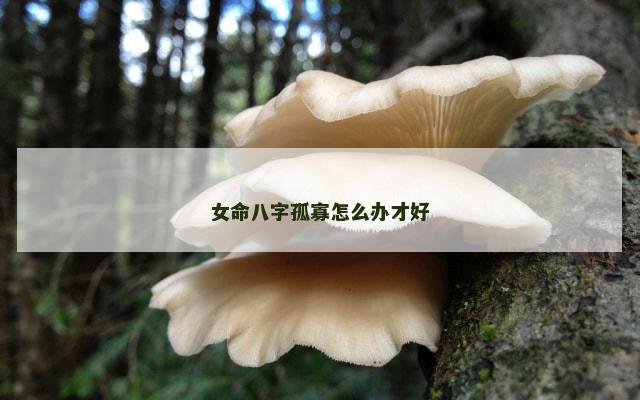 女命八字孤寡怎么办才好