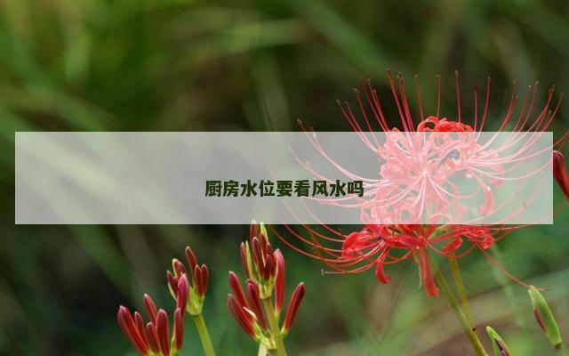 厨房水位要看风水吗