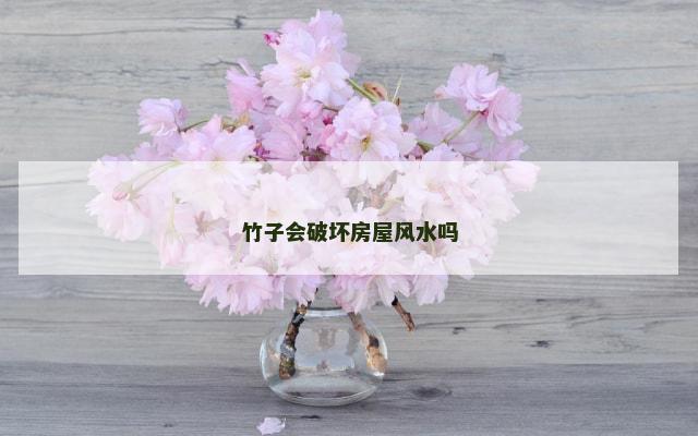 竹子会破坏房屋风水吗
