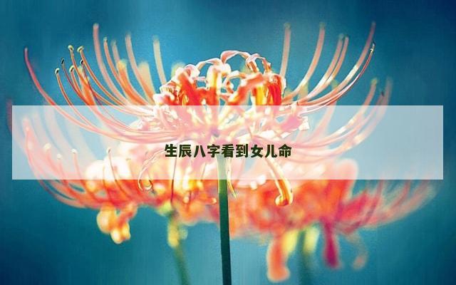 生辰八字看到女儿命