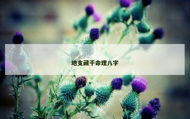 地支藏干命理八字