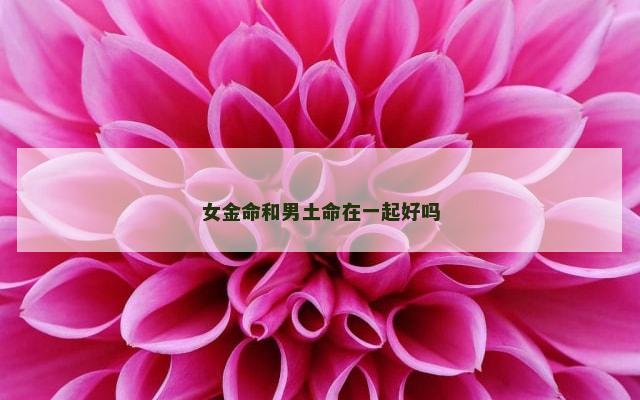 女金命和男土命在一起好吗