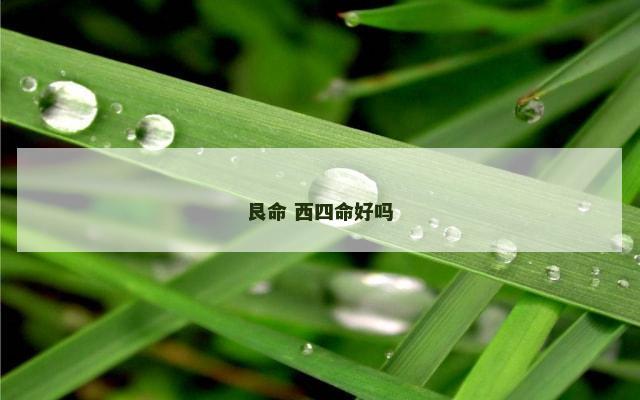 艮命 西四命好吗