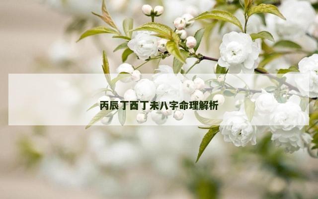 丙辰丁酉丁未八字命理解析