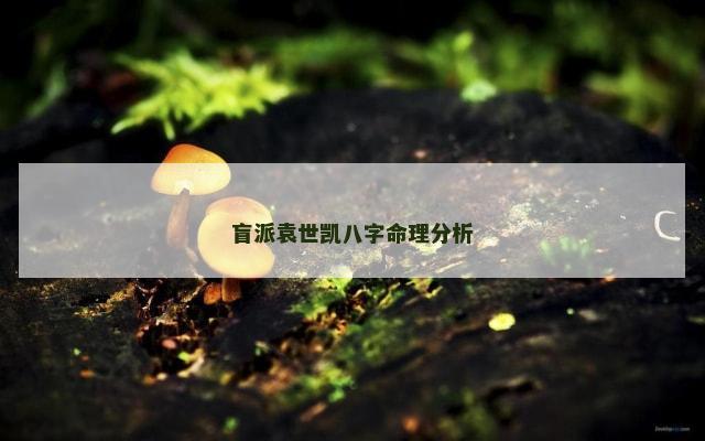 盲派袁世凯八字命理分析