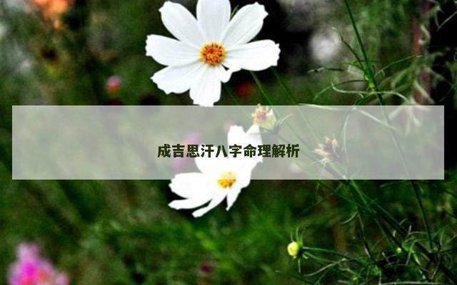成吉思汗八字命理解析