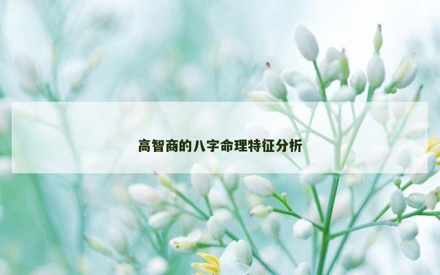 高智商的八字命理特征分析