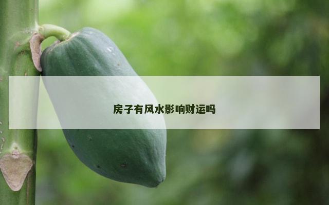 房子有风水影响财运吗