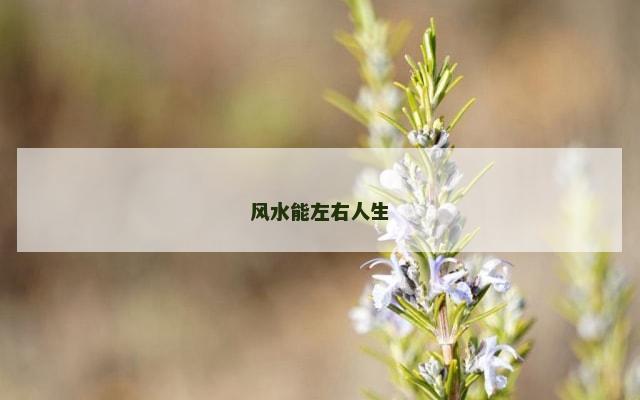 风水能左右人生