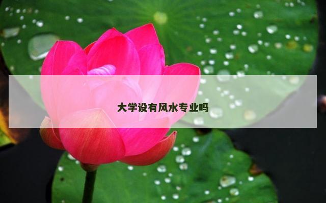 大学设有风水专业吗
