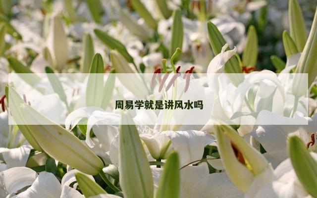 周易学就是讲风水吗