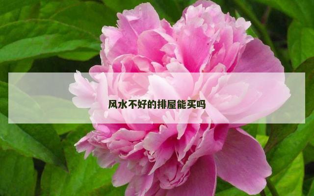 风水不好的排屋能买吗