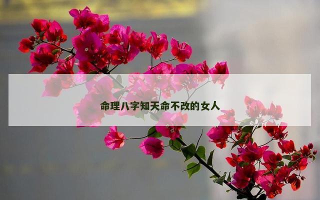 命理八字知天命不改的女人