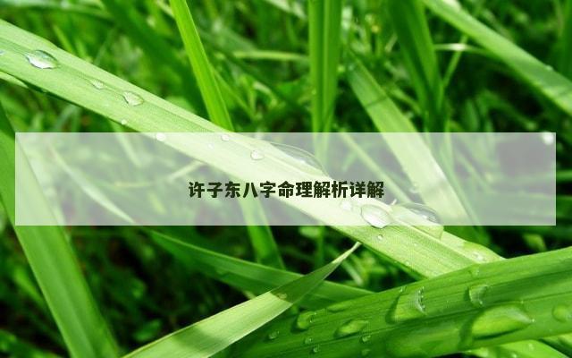 许子东八字命理解析详解
