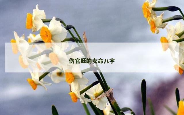 伤官旺的女命八字