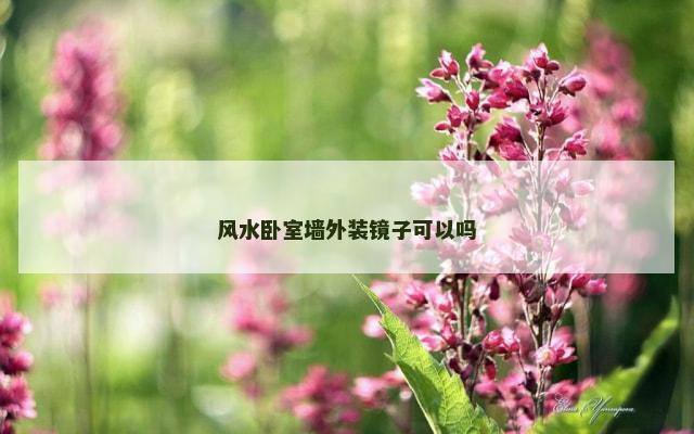 风水卧室墙外装镜子可以吗