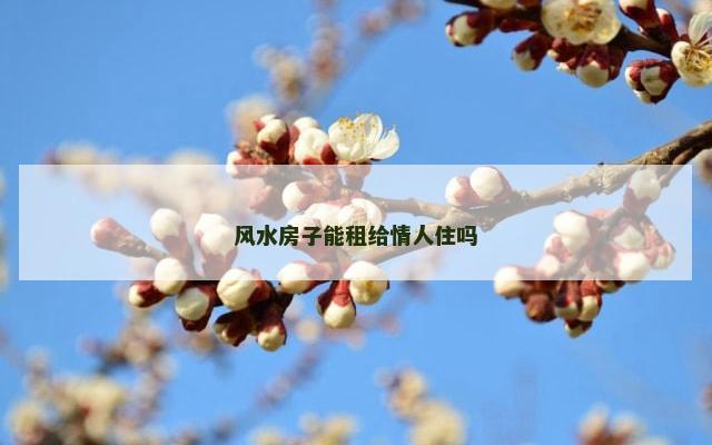 风水房子能租给情人住吗
