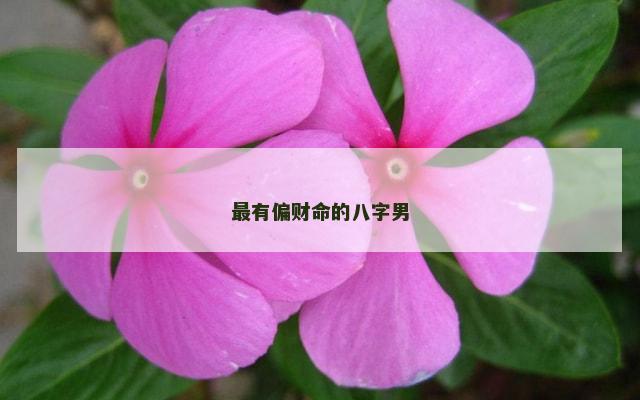 最有偏财命的八字男