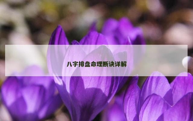 八字排盘命理断诀详解