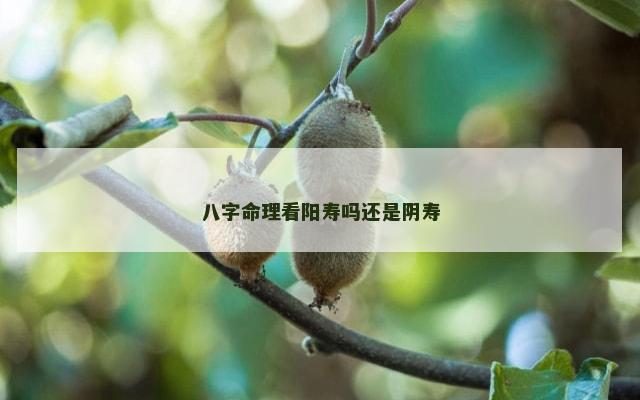 八字命理看阳寿吗还是阴寿