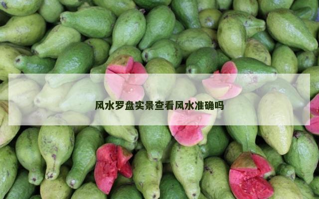 风水罗盘实景查看风水准确吗
