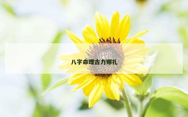 八字命理古力娜扎