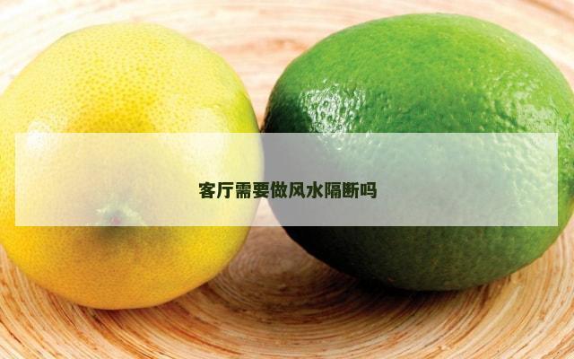 客厅需要做风水隔断吗