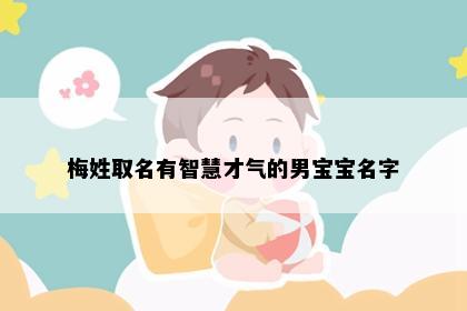 梅姓取名有智慧才气的男宝宝名字
