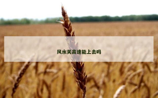 风水关高速能上去吗