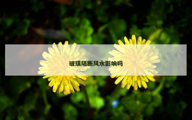 玻璃隔断风水影响吗