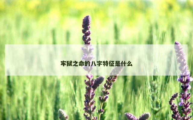 牢狱之命的八字特征是什么
