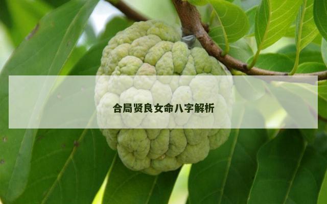 合局贤良女命八字解析