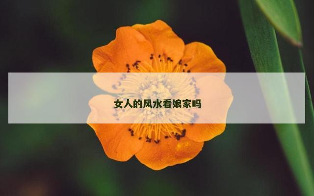 女人的风水看娘家吗