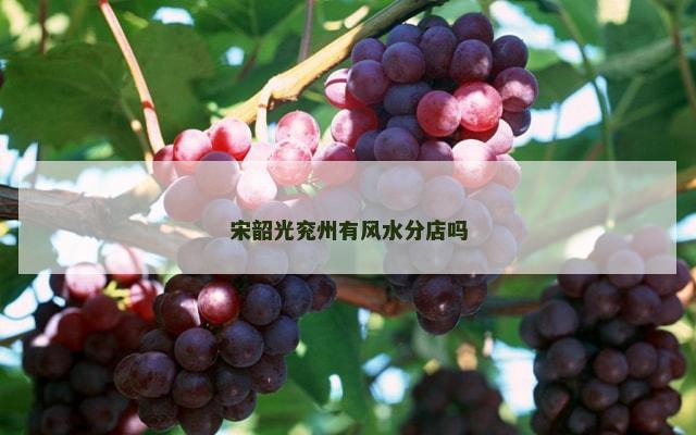 宋韶光兖州有风水分店吗
