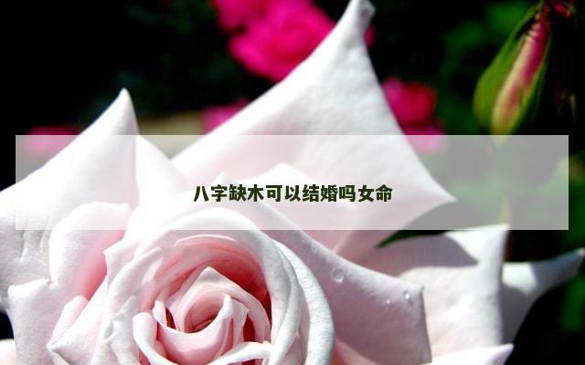 八字缺木可以结婚吗女命
