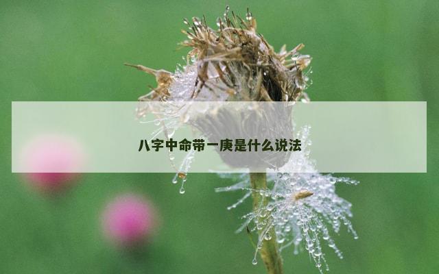 八字中命带一庚是什么说法