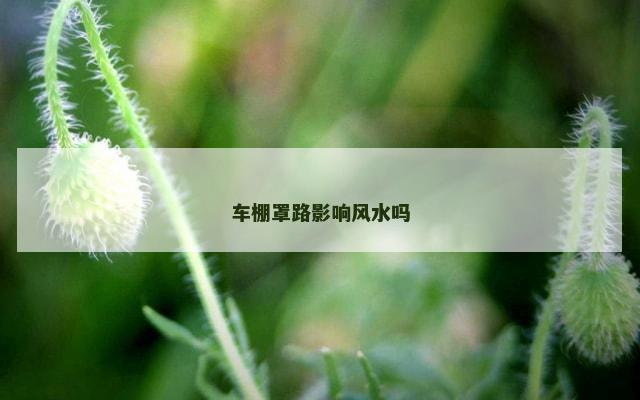 车棚罩路影响风水吗