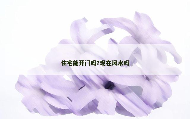 住宅能开门吗?现在风水吗