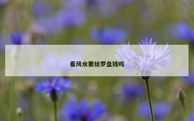 看风水要给罗盘钱吗