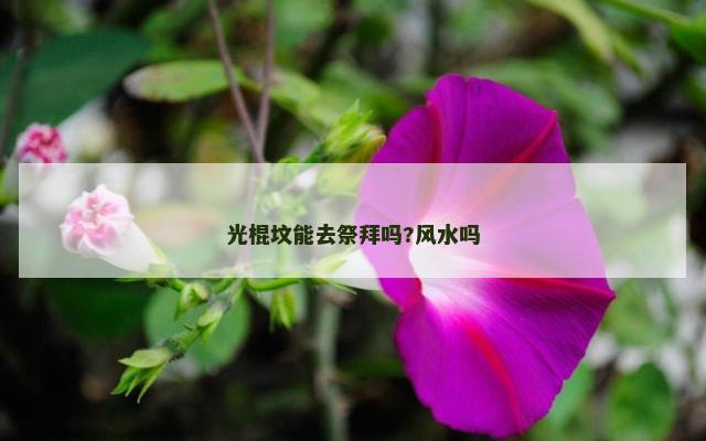 光棍坟能去祭拜吗?风水吗