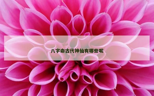 八字命古代神仙有哪些呢