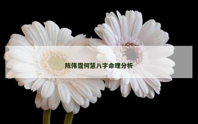 陈伟霆何慧八字命理分析
